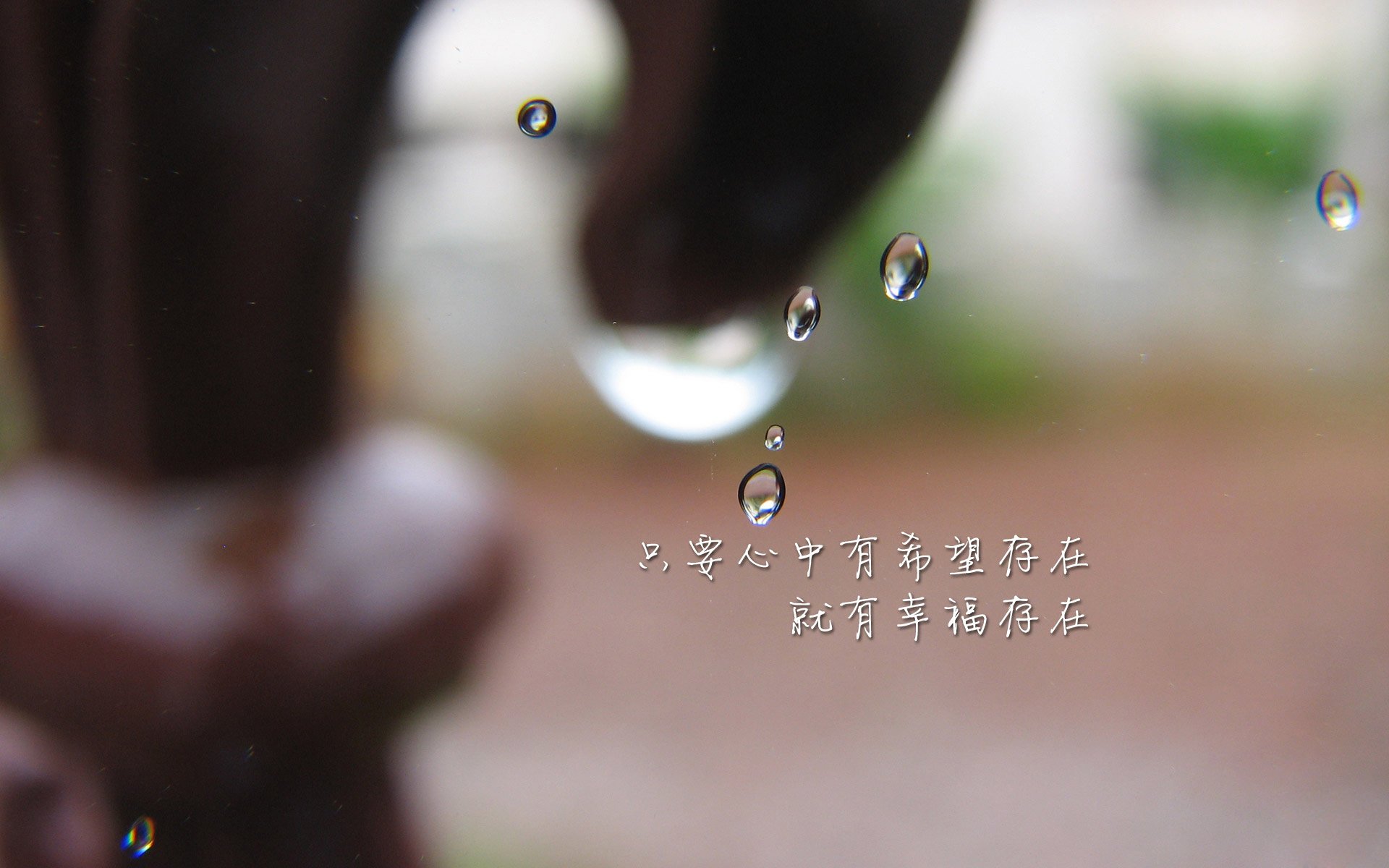 双重王冠，穆雷如何用温网的火焰点燃戴维斯杯的战场