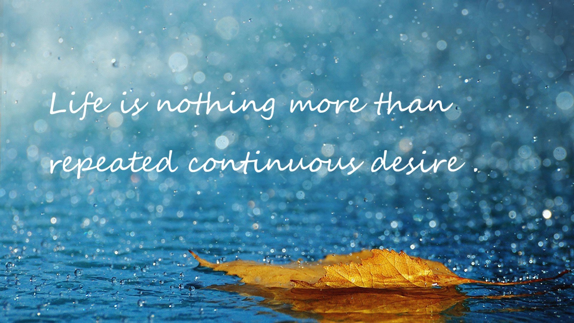 东方防线，无名小卒努涅斯如何用一场比赛锁死奥地利音律风暴