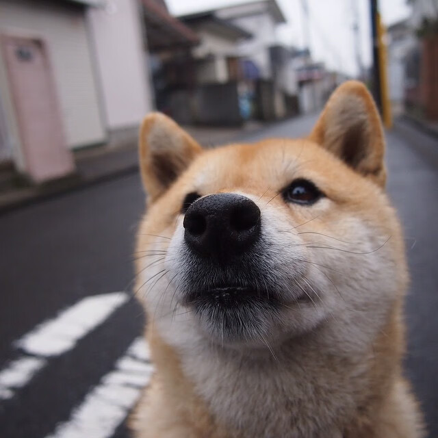 2026世界杯之夜，贝林厄姆双响镌刻自己的王座