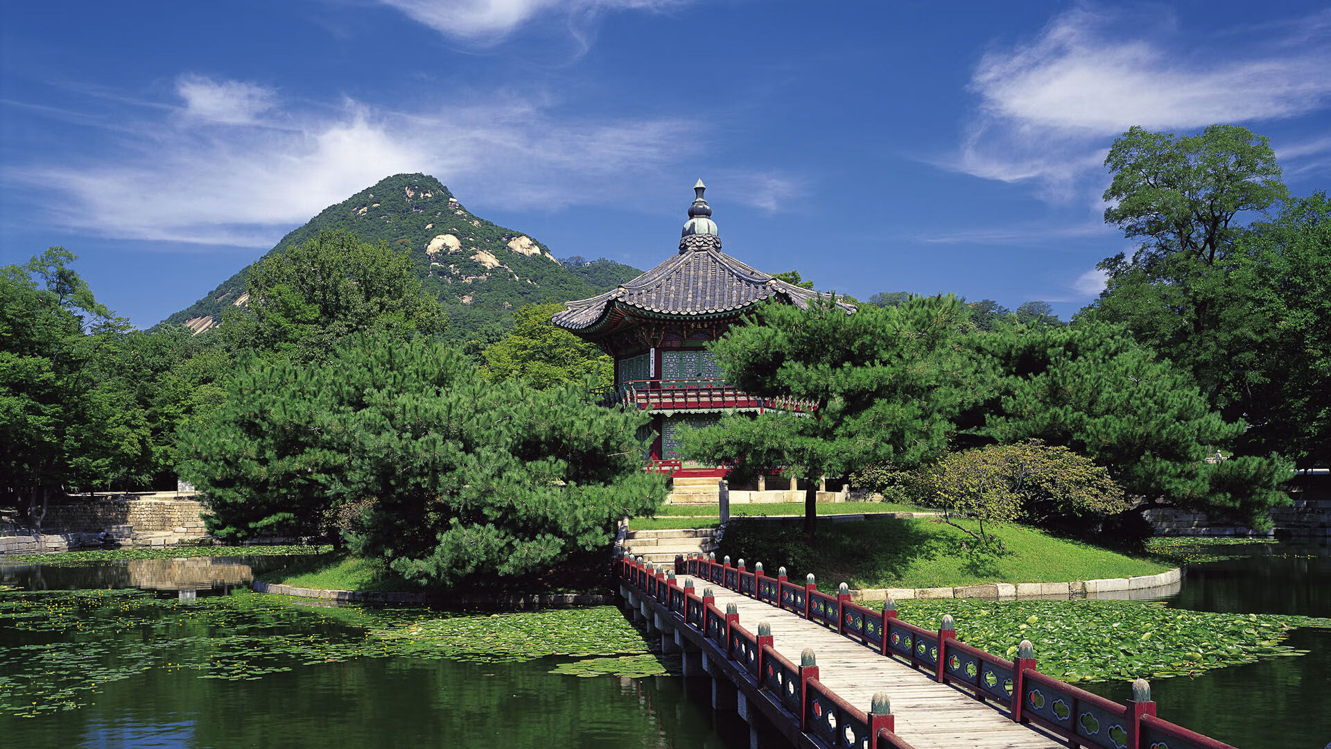 金字塔尖的舞步，若日尼奥的优雅接管与埃及式收割